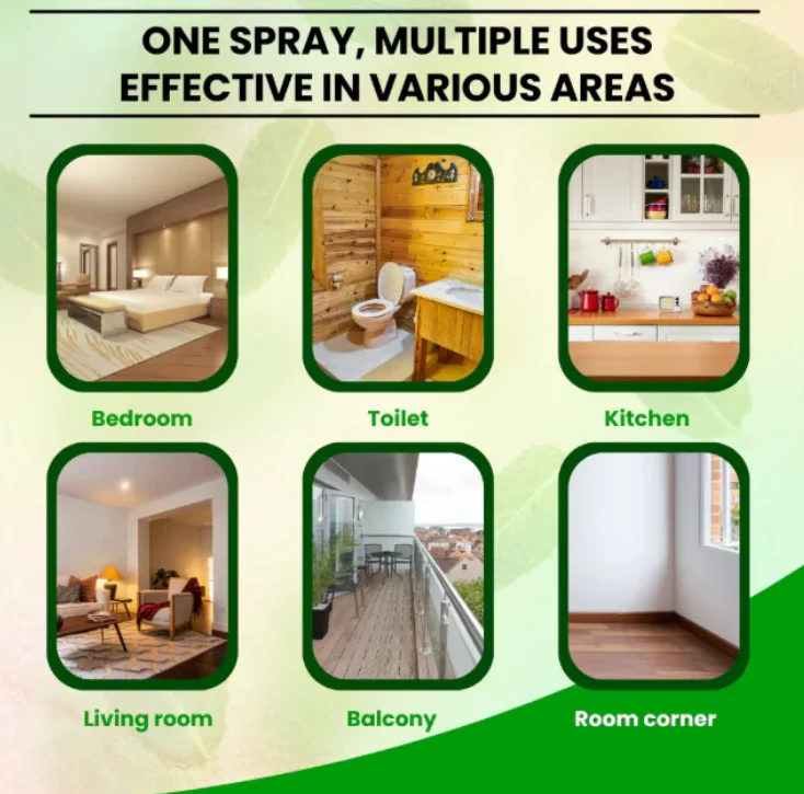 ChipkaliNo — Lizard Repellent Spray
