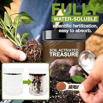 MittiBoost — Soil Activator Growth Booster, 100 g x 2